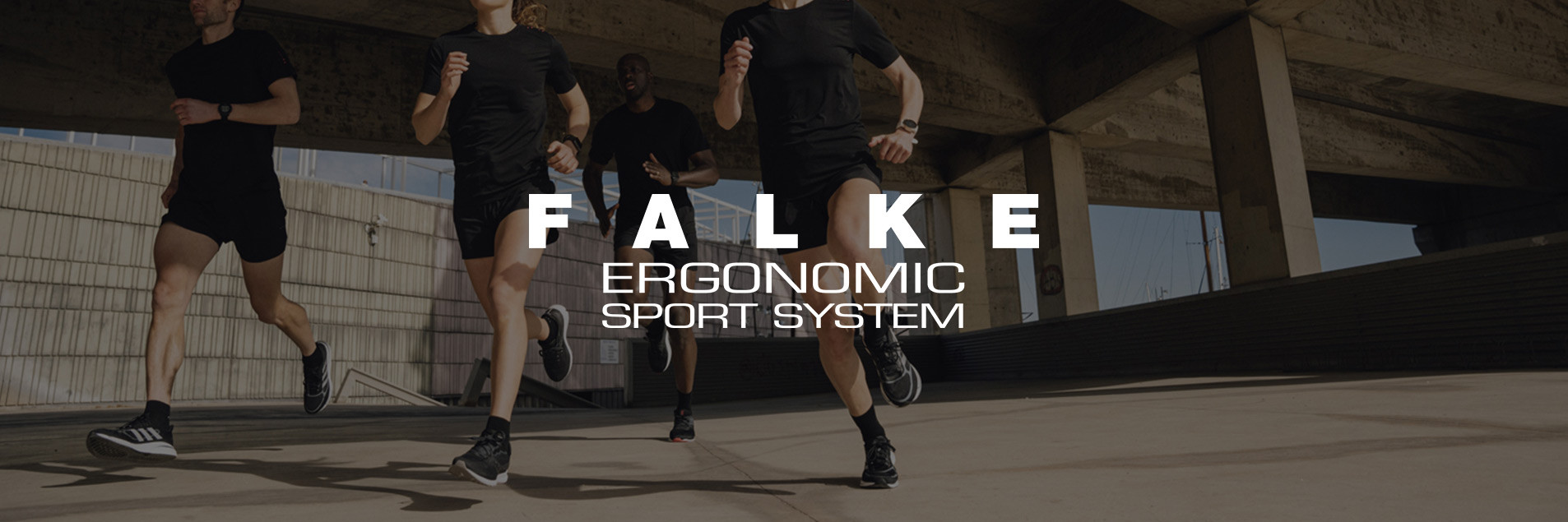 falke sportsokken