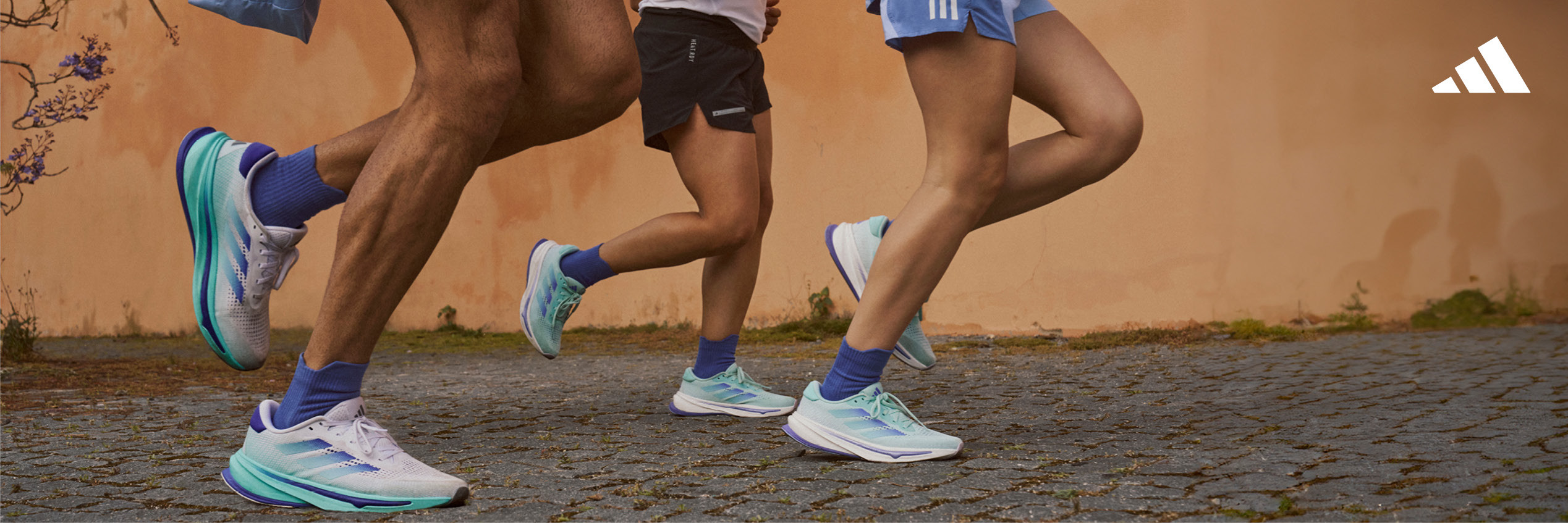 adidas supernova